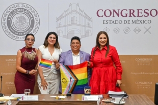Esta presea fue creada para reconocer a personas, colectivos y organizaciones por su labor en defensa de los derechos de las poblaciones LGBTTTIQ+