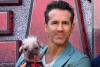 “Peggy”: La perrita “más fea del Reino Unido” hará su debut en la pantalla grande
