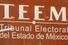 TEEM sanciona a dirigente juvenil de Morena por violencia política de género