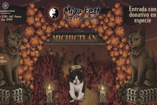 La programación del Miau Fest 2025 abarca una amplia gama de actividades