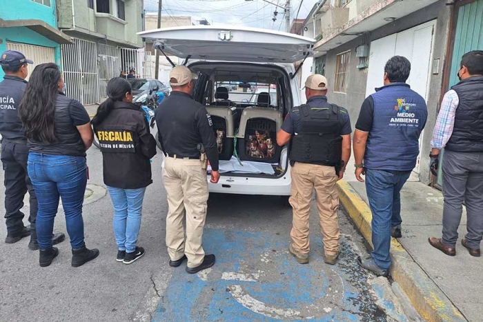En presencia de familiares de la persona responsable, se ingresó al inmueble, encontrando a los caninos hacinados en un cuarto de aproximadamente 10 metros cuadrados.
