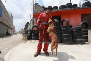 Todo comenzó cuando una amiga le ofreció a una perrita para cuidar su vulcanizadora ubicada en La Cruz Comalco