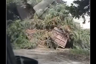 Vecinos que presenciaron el percance dieron aviso a las autoridades. 