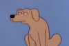 ¿LOS PERROS REALMENTE “JUZGAN” A LAS PERSONAS? Esto dice un nuevo estudio