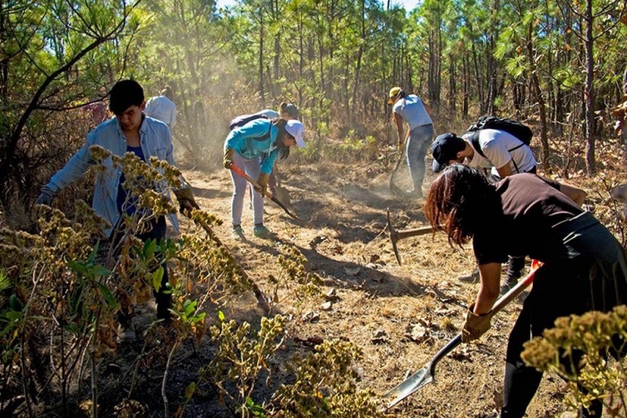 Día Mundial del Medio Ambiente 2021: momento de restaurar el planeta