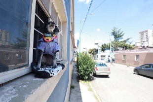 La consentida del barrio