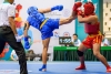 Wushu toma Toluca: el Regional 2025 llega en enero