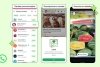 Buenas y malas: WhatsApp comenzará a incluir anuncios, pero no afectarán chats personales