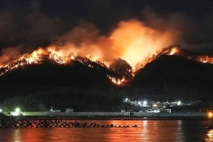 La Agencia Meteorológica Nacional señaló que el 2024 fue el año más cálido jamás registrado en Japón