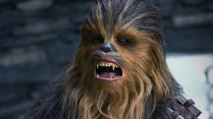 La denominada Iridogorgia chewbacca es un ejemplar que destaca por sus ramas largas, flexibles y brillantes