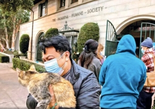 Ante esta emergencia, médicos veterinarios decidieron unir fuerzas para refugiar a grupos de animales