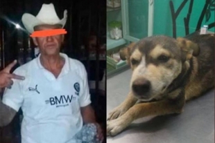 Sentencian a sujeto que violó y causó la muerte a perrita Mati