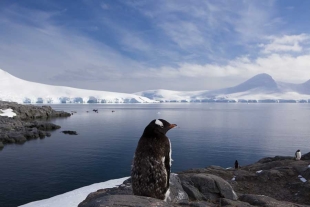 La presente investigación alerta que los grandes cambios que actualmente se están produciendo en el hielo