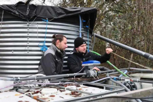 Esta planta resulta capaz de eliminar alrededor del 90% de la suciedad orgánica