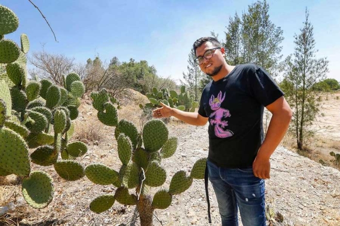 Una vez que nos aprobaron el proyecto, dijeron, comenzamos con la preparación del terreno y finalmente, plantamos 300 pencas.