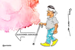 Elecciones judiciales