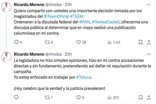 Tanto el TEEM como el IEEM deben publicitar la sentencia en sus estrados, por diez días naturales contados a partir de su notificación.