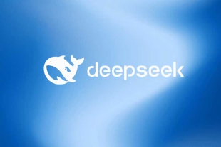 DeepSeek cuenta con una pantalla de inicio y campo de escritura