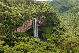 La funcionaria detalló que Colombia pondrá en restauración ecológica y reconversión productiva hasta 5 millones de hectáreas