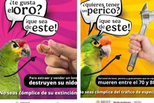 La dependencia pretende generar conciencia entre la población 