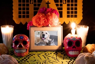 Los fieles difuntos acuden a visitar a sus seres queridos para disfrutar de una ofrenda llena de sus platillos favoritos