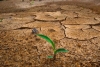 ¡Alerta! España entrará en déficit ecológico a finales de mayo