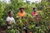 La Unión Europea trabajará con países africanos para crear asociaciones forestales