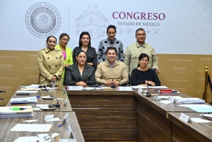 También señaló que el artículo 12 transitorio pretendía otorgar una magistratura “administrativa” a Héctor Macedo García
