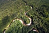 ¡Respira la Amazonia! Incendios cayeron casi un 70% durante el primer trimestre del año