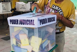 Pulido explicó que el dato oficial se dará a conocer a través del Consejo General 