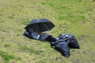 Siesta bajo el sol en Toluca