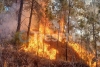 Continúan los esfuerzos para sofocar incendio en Tejupilco