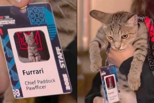 La presencia de “Furrari” no pasó desapercibida entre los equipos participantes