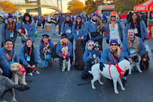 En algunos puntos del maratón, que abarca un total de 42.195 kilómetros, los canes tranquilizaron los nervios de los atletas