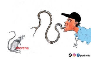 Lengua larga