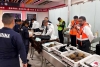 ¿Tortugas en calcetines y ranas en tuppers? Tráfico de animales se hace presente en aeropuerto de CDMX