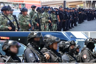 Las autoridades intervinieron los predios tras recibir reportes de que eran utilizados como puntos de desmantelamiento