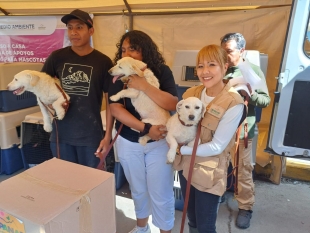 La felicidad y alegría contagiaron a los habitantes locales por el reencuentro de 135 mascotas rescatadas