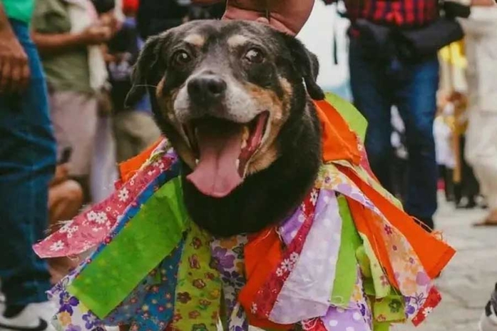 El canino más famoso de Oaxaca realizó todo el recorrido,