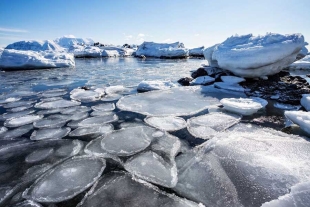 El C3S alertó que se trató del tercer febrero consecutivo en el que la extensión del hielo marino marca un récord para el mes correspondiente.