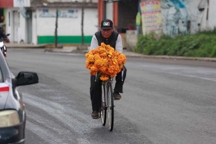 Cempasúchil en bicicleta