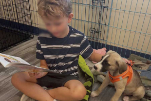 Hughes contó que la Terapia de Cachorros surgió durante la pandemia de Covid-19