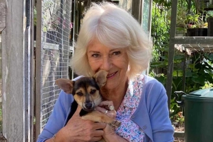 “Moley” llegó a su nuevo hogar en febrero pasado, proveniente del Hogar de Perros y Gatos de Battersea