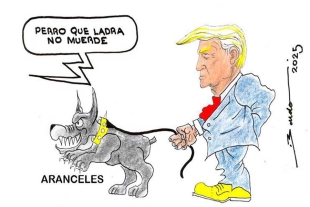 Perro bravo