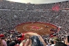 Jueza prohíbe instrumentos que maltraten a toros durante corridas; Plaza México se verá afectada