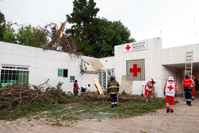Cuerpos de emergencia de la misma Cruz Roja evacuaron la zona de Farmacia y óptica, pues fue en este lugar donde cayó el tronco.