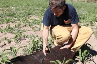 Los tapetes ayudan a los agricultores locales para que puedan seguir cultivando bajo condiciones de sequía extrema