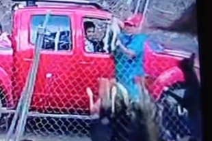 El can, al ser desconocido por los demás animales del refugio, fue atacado de inmediato