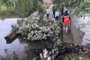 Lluvias provocan desplome de puente en Ixtlahuaca