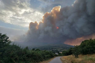 Se identificaron varias regiones con altas emisiones tanto por incendios forestales como por siniestros causados por la actividad humana en Asia ecuatorial